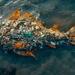 "Environmental impact of drilling waste on ecosystems and pollution control measures."